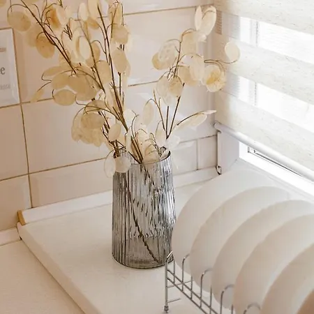 Avangard Magnus * 利沃夫