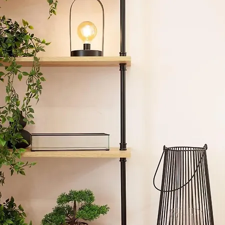 Avangard Magnus 利沃夫