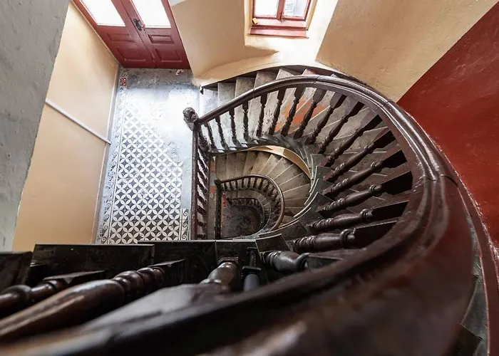 Avangard Magnus Daire