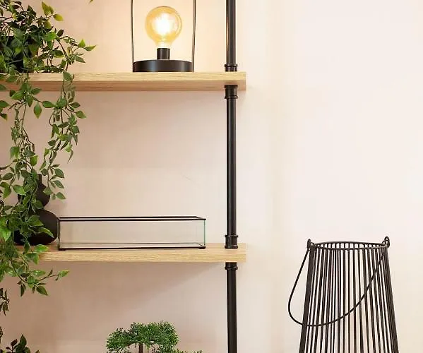 Avangard Magnus לבוב