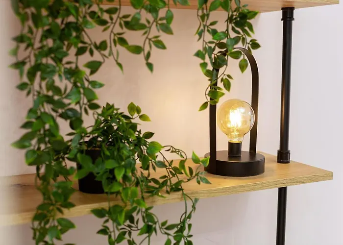 Avangard Magnus Львов