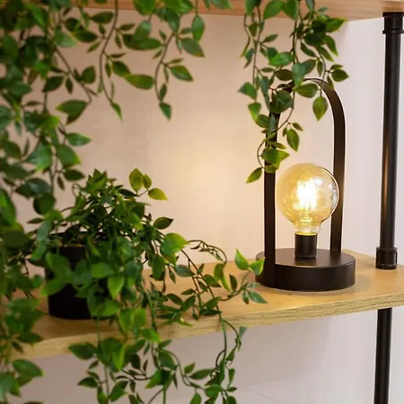 Avangard Magnus Leopoli